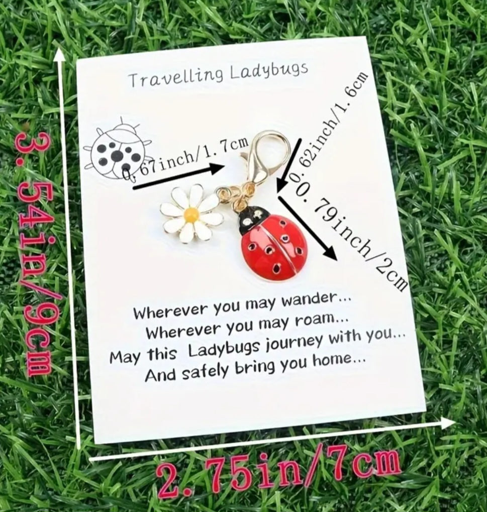 Good Luck Charm Key Chain Travelling Ladybug And Daisy With Inspirational Card