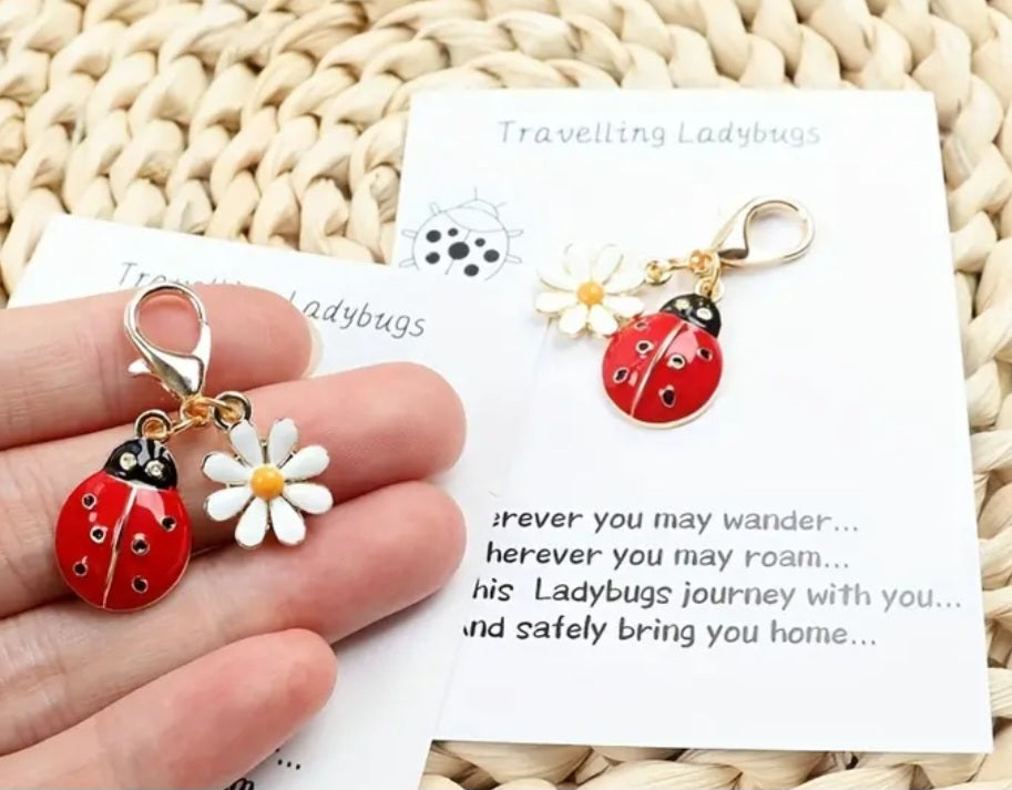 Good Luck Charm Key Chain Travelling Ladybug And Daisy With Inspirational Card