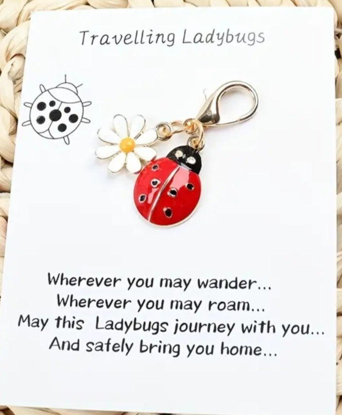 Good Luck Charm Key Chain Travelling Ladybug And Daisy With Inspirational Card