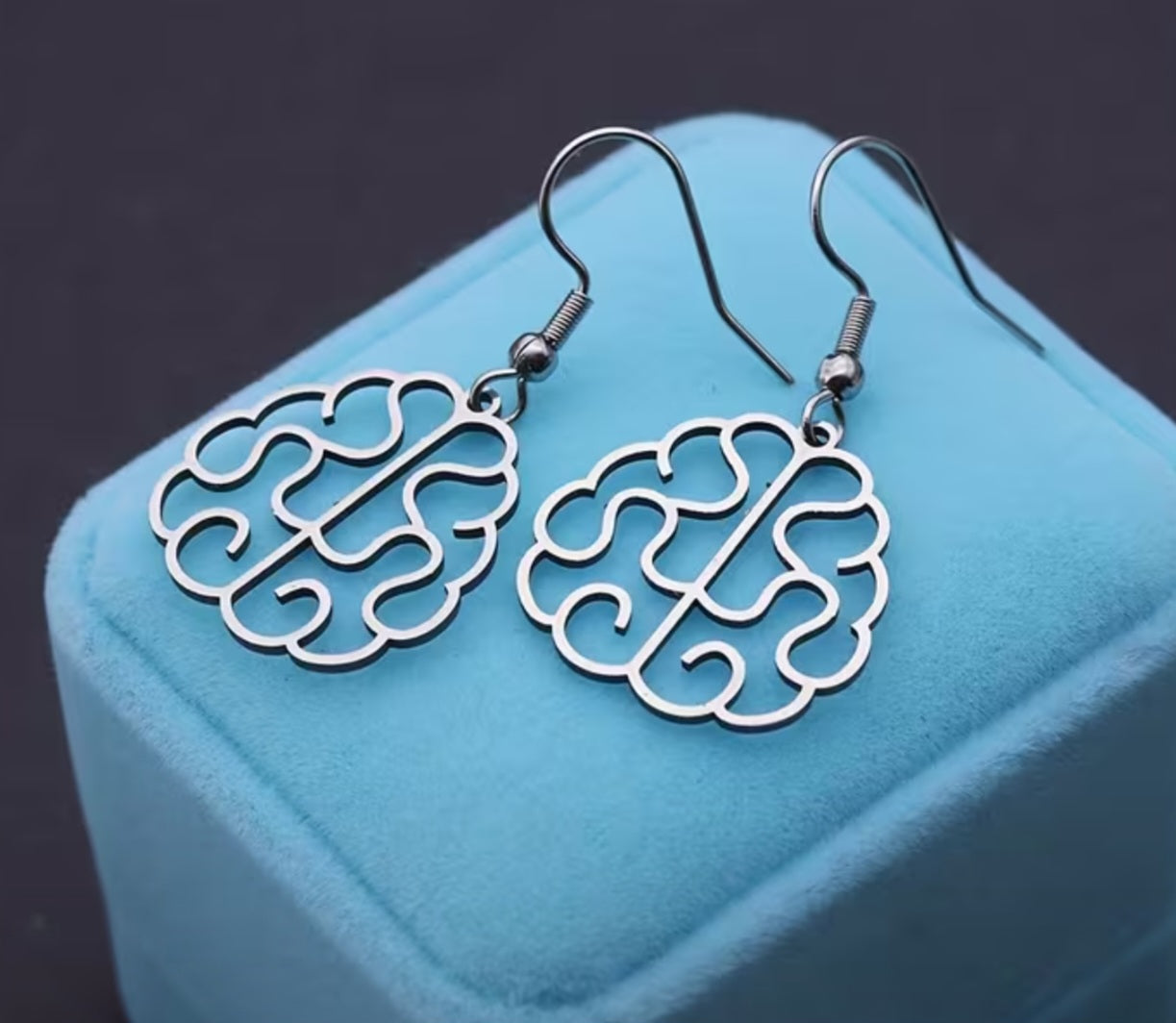 Cerebral Brain Neurology Science Fancy Lightweight Stainless Steel Delicate Drop Dangle Earrings