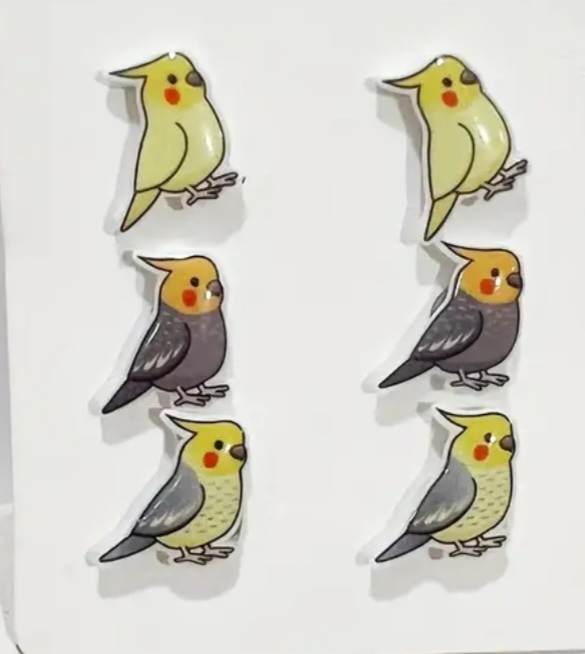 Cute Set Of 3 Weiro Cockatiel Plastic Small Studs Parrot Bird